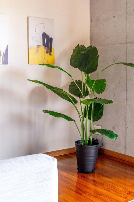 ヴィラ カエルラ Nago Ngoại thất bức ảnh